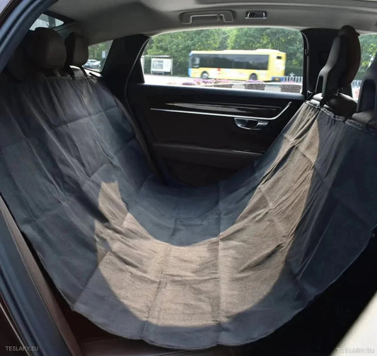 Accesorios Esenciales para Viajar en Tesla con Mascotas