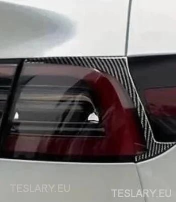 Accessori Tesla: Potenzia il Tuo Stile con Teslary