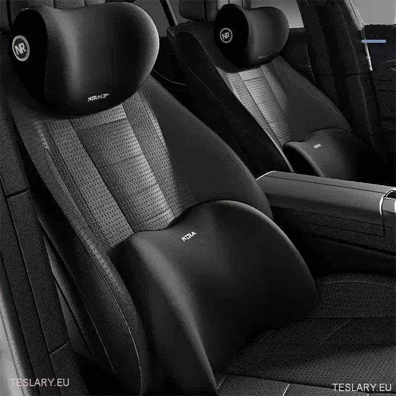 Almohada de Espuma con Memoria para Todos los Modelos Tesla