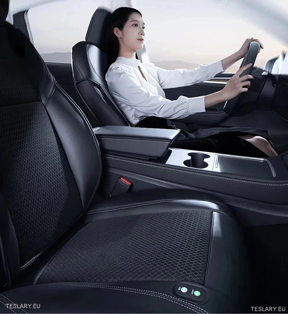Elevate Tesla Experience with Premium Comfort Accessories