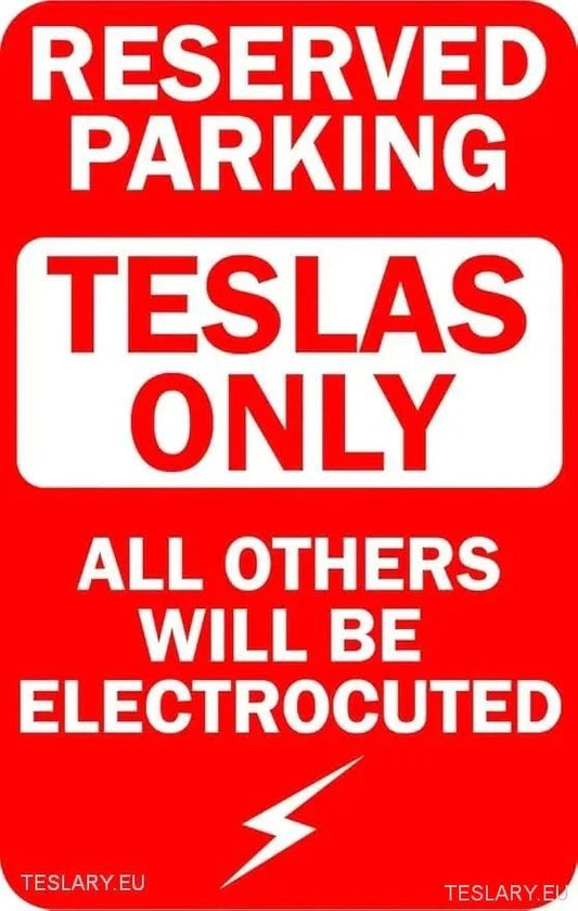 Imperdibili Accessori Tesla: Personalizza la Tua Auto