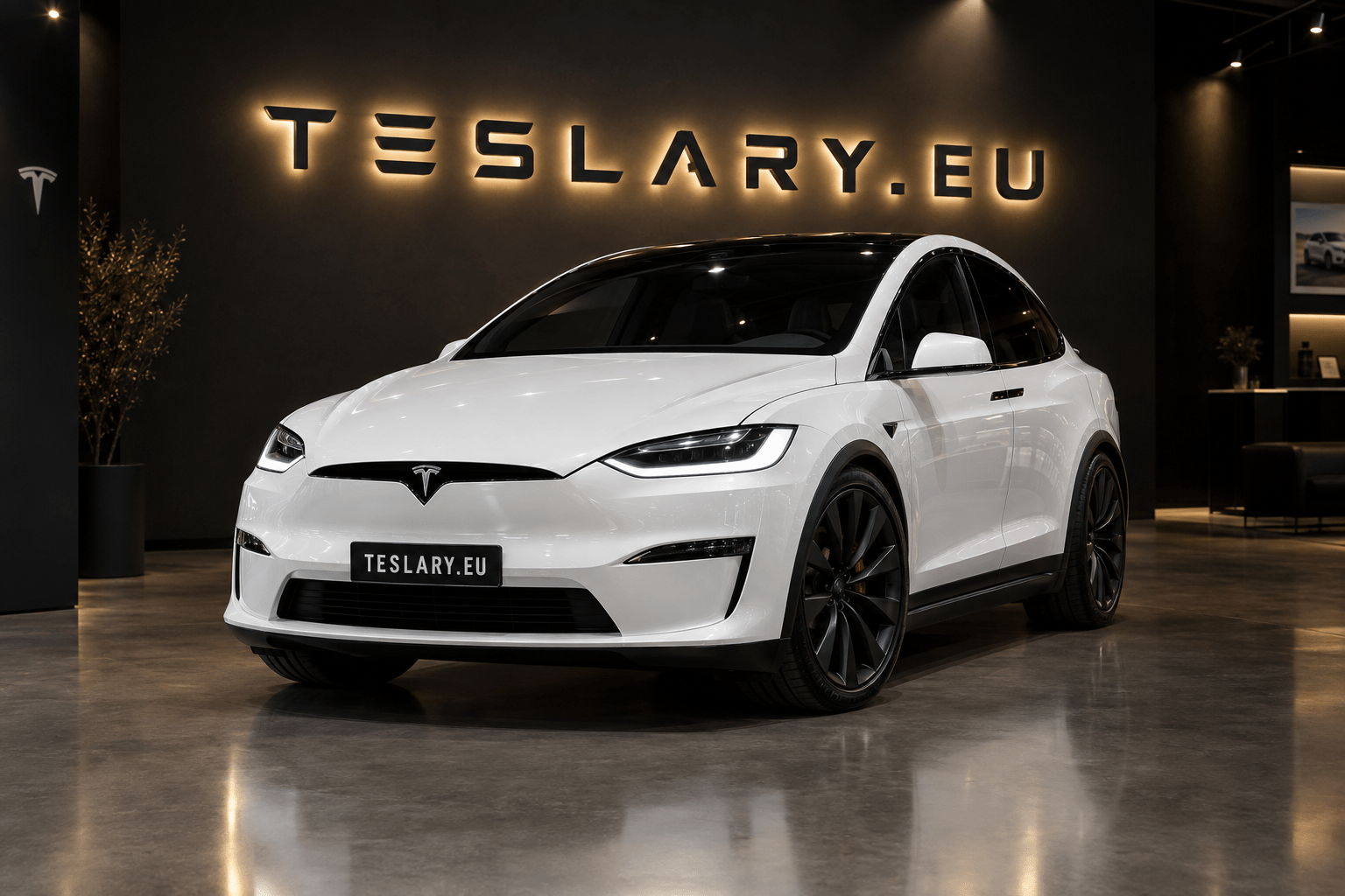 Vimeo Inflate TESLA MODEL X - TESLARY Tesla Shop Ireland Dublin Cork Galway Espana ...
