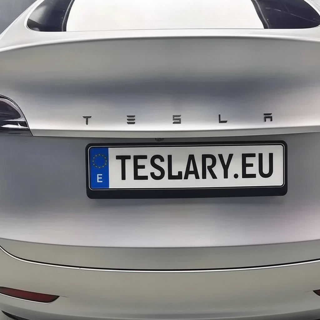 ABS 3D TESLA letter New Logo Style for your Tesla Model 3 Y S X - TESLARY Tesla Shop Accessories Europe Nederlands Ireland Deutschland Espana Alicante France Italia