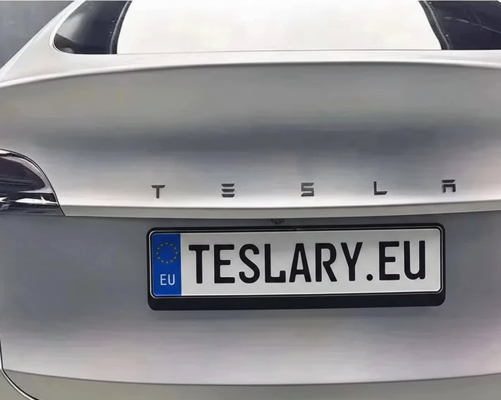 ABS 3D TESLA letter New Logo Style for your Tesla Model 3 Y S X - TESLARY Tesla Shop Accessories Europe Nederlands Ireland Deutschland Espana Alicante France Italia