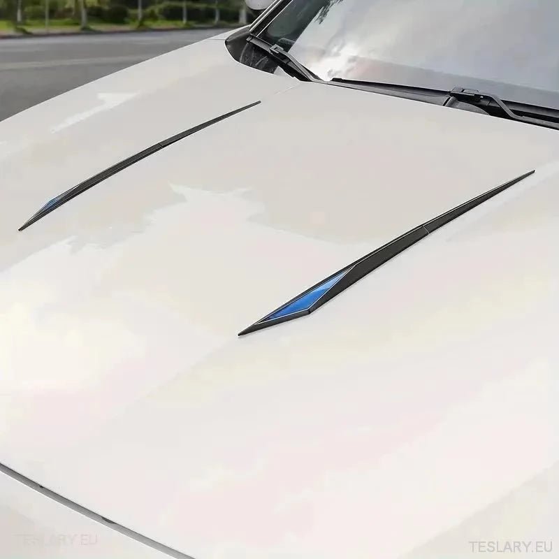 Chrome Plated Trim Accents for Side or Bonnet - TESLARY Tesla Shop Accessories Europe Nederlands Ireland Deutschland Espana Alicante France Italia