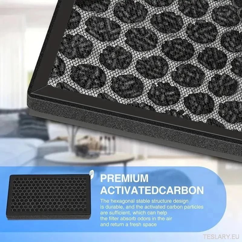Tesla 3/Y Passenger Air Filter Replacement ( 2 Pieces ) - TESLARY Tesla Shop Accessories Europe Nederlands Ireland Deutschland Espana Alicante France Italia